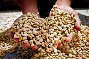 Perú abre mercado para los cafés especiales en Australia