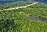 US$ 50 000 000 de dólares destinados para reducir la deforestación en once regiones de la Amazonía peruana