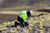 Puno: Activos Mineros concluyó obras de remediación en ex unidad minera Esquilache con inversión de S/ 38 mlls.
