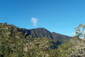 Establecen la primera Área de Conservación Regional de Huancavelica: “Bosque Nublado Amaru-Huachocolpa-Chihuana”
