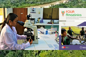 Revista científica peruana “Folia Amazónica” es incorporada en Scopus, base de datos a nivel mundial